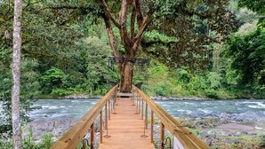 A wooden bridge leading to a treehouse in a forested area with a river. - Pacuare Lodge by Böëna (Siquirres)