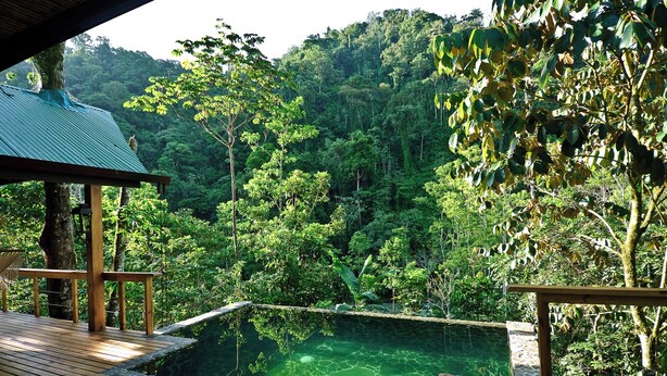 A wooden deck with a clear view of a lush forest and a stone-lined swimming pool. - Pacuare Lodge by Böëna (Siquirres)