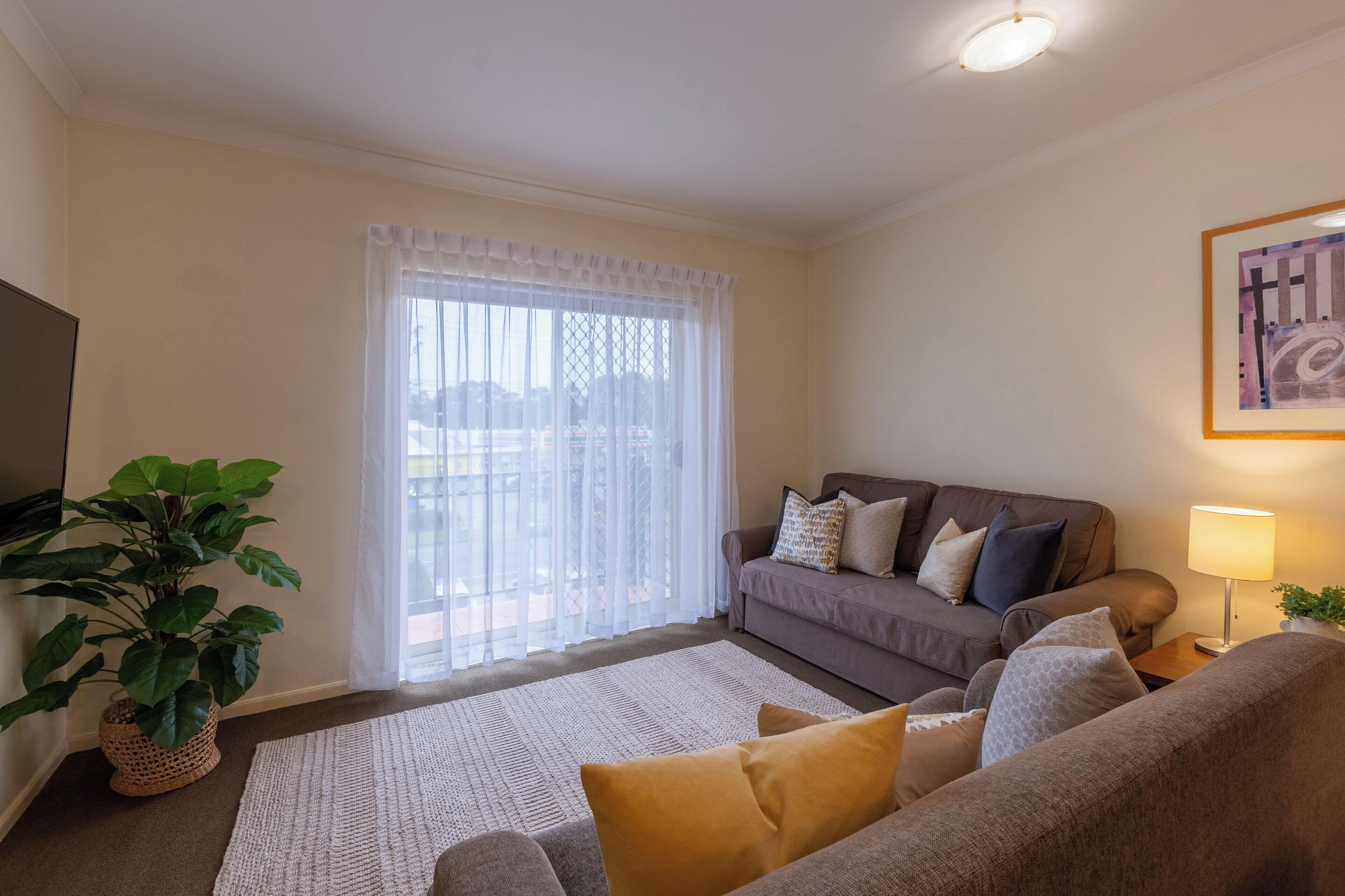 A living room with a grey sofa, a large potted plant, and a flat-screen TV.