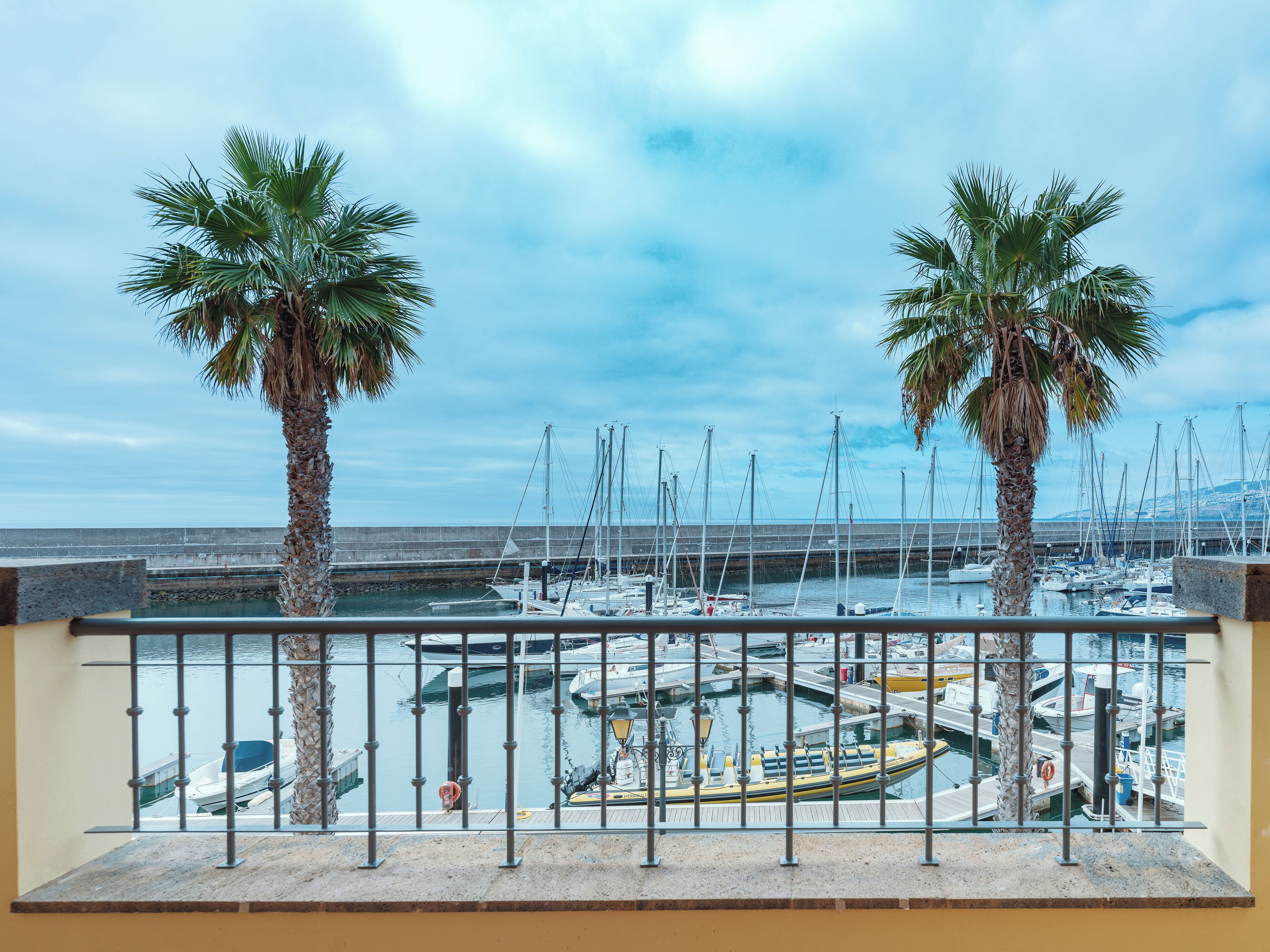 A marina with boats docked, a concrete sea wall, and two palm trees.