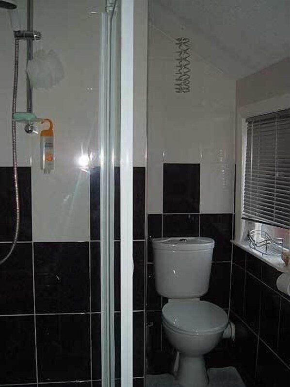 A bathroom with a shower, toilet, and window.