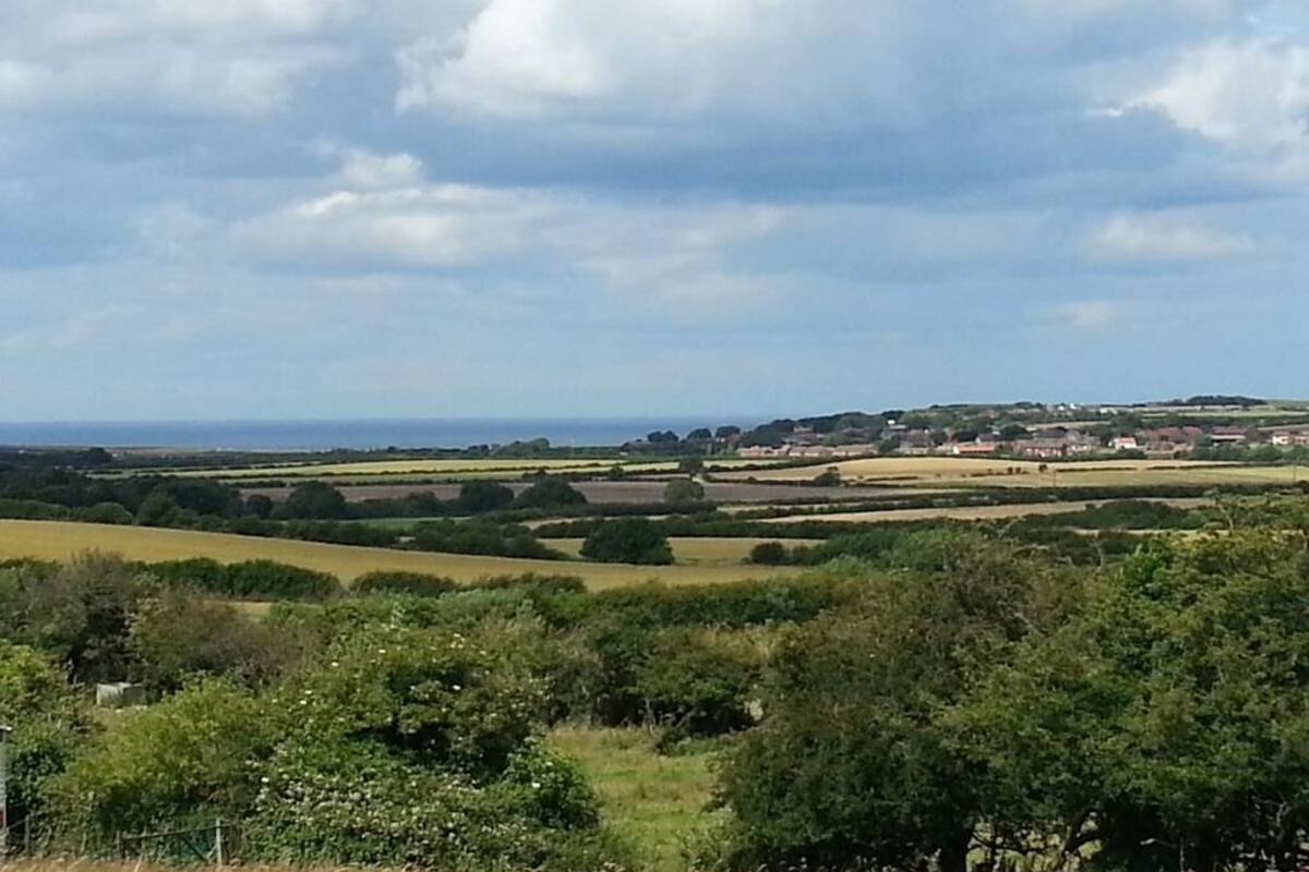 Paisaje rural con campos, árboles y un pueblo distante.