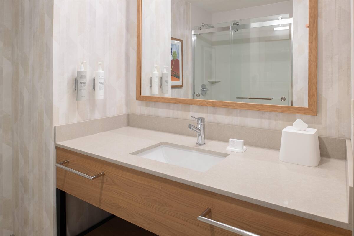combined shower/bathtub, free toiletries, hair dryer, towels