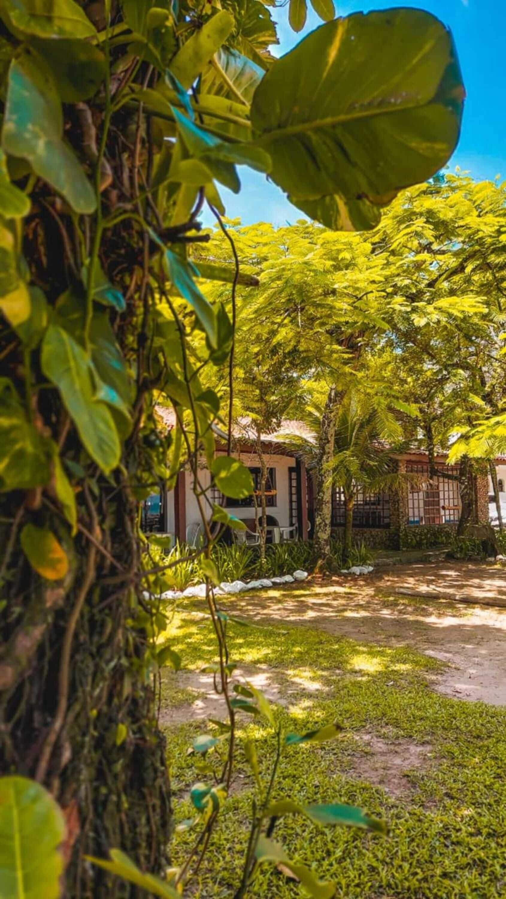 Área da propriedade