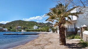 Ein Strand mit einer Palme, einem Boot und Gebäuden im Hintergrund.