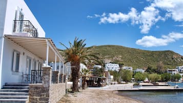 Muelle