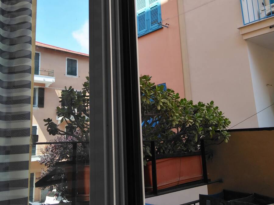 Vista a través de una ventana de un edificio con balcones, plantas en macetas y cielo despejado.