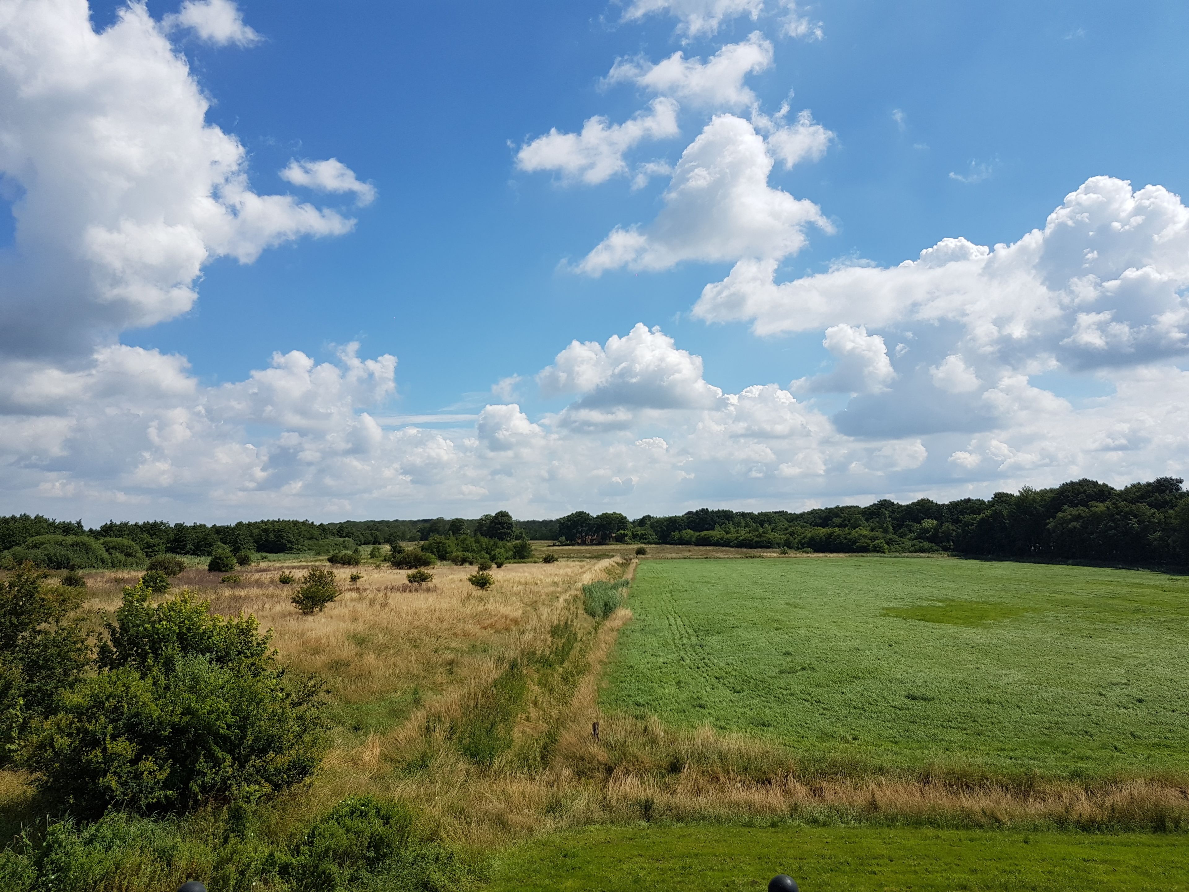 A wide-open field with a clear sky and scattered clouds.