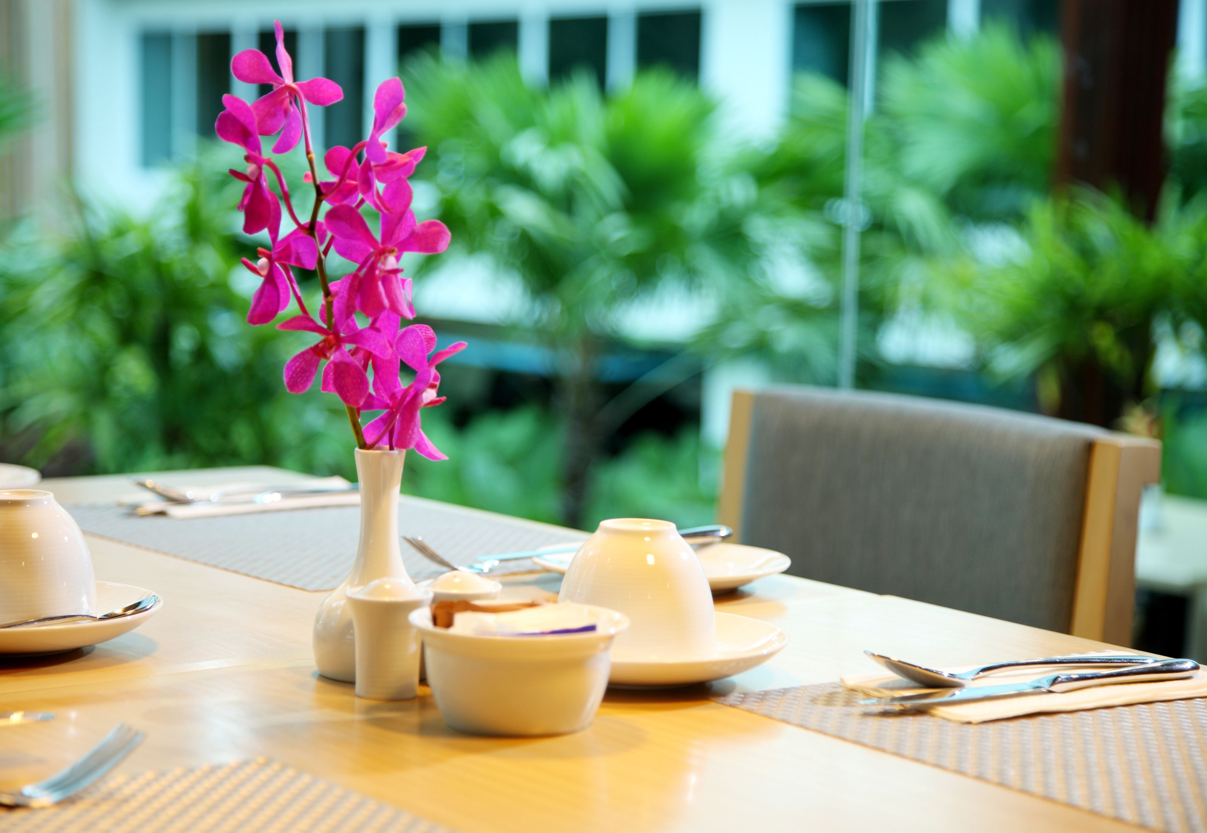 A dining table set with white dishes, a vase with pink flowers, and a view of greenery outside.