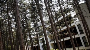 A building surrounded by tall trees. - Pela Hotel Ohrid (Ohrid)