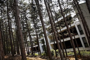 Vistas desde el alojamiento