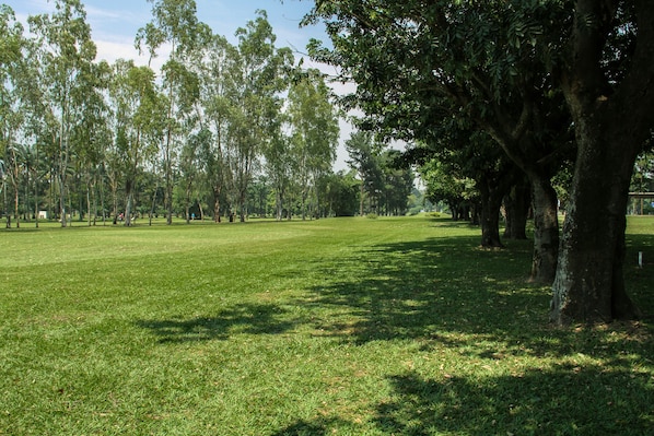 A grassy park area with tall trees and a clear sky. - Fleuve Congo Hotel By Blazon Hotels (Kinshasa)