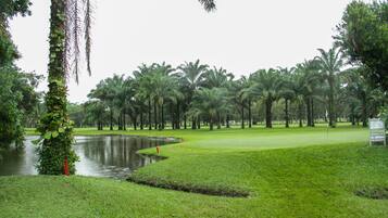 Stunning golf course with a serene fairway, pond, and lush greenery.