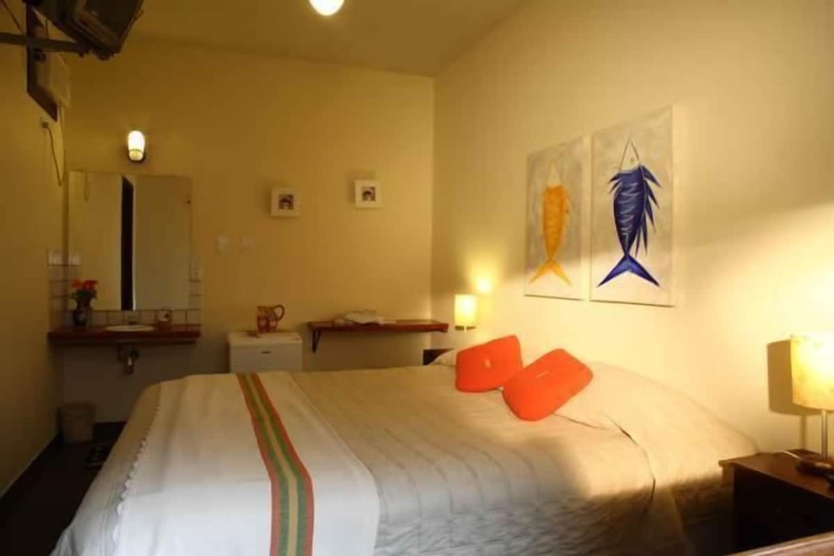 Habitación económica | Minibar, caja fuerte, tabla de planchar con plancha y wifi gratis