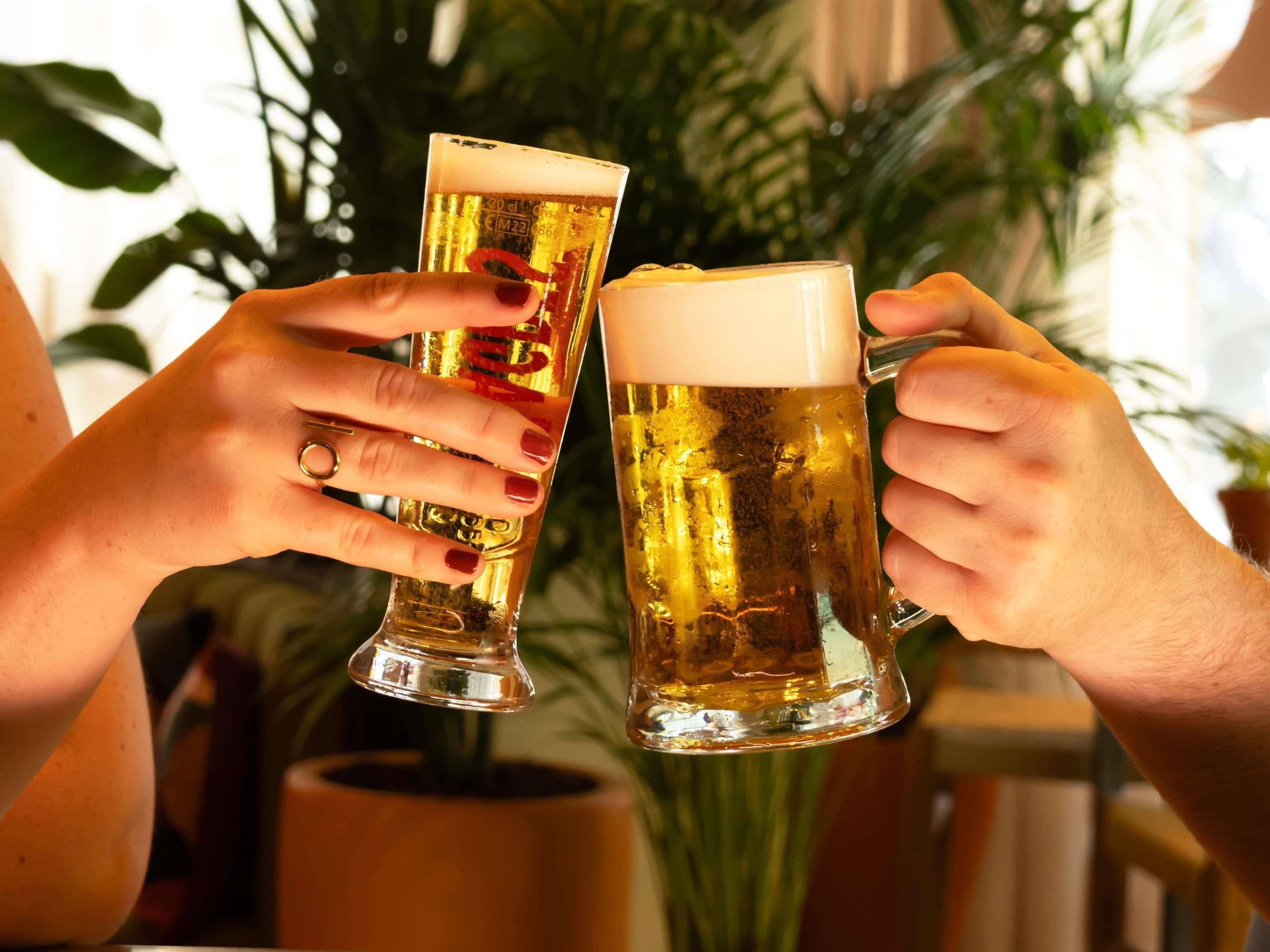 Zwei Personen halten Bierkrüge mit Schaum, im Hintergrund ein Zimmer mit einer Pflanze.