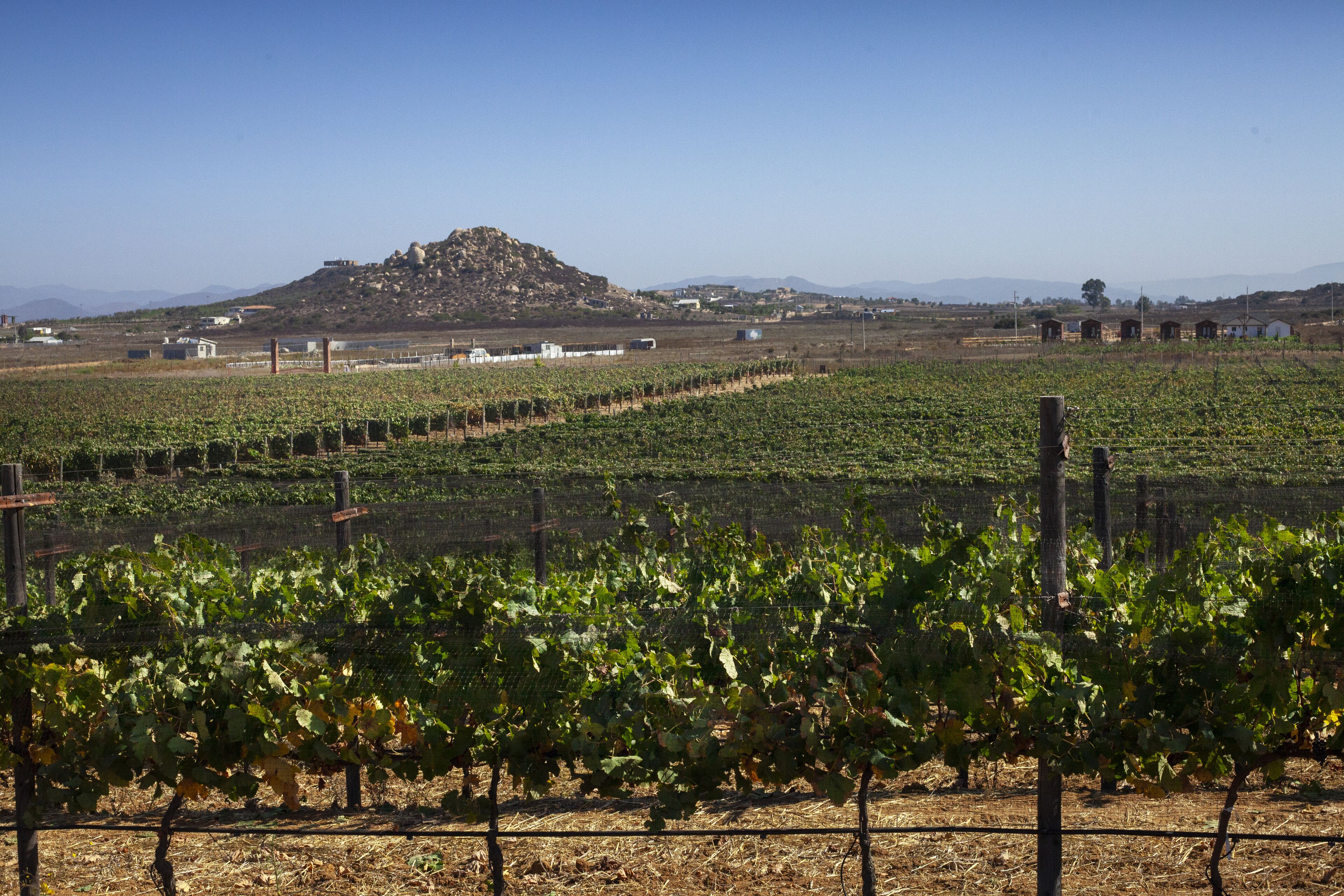 Foto - Corona Hotel & Spa