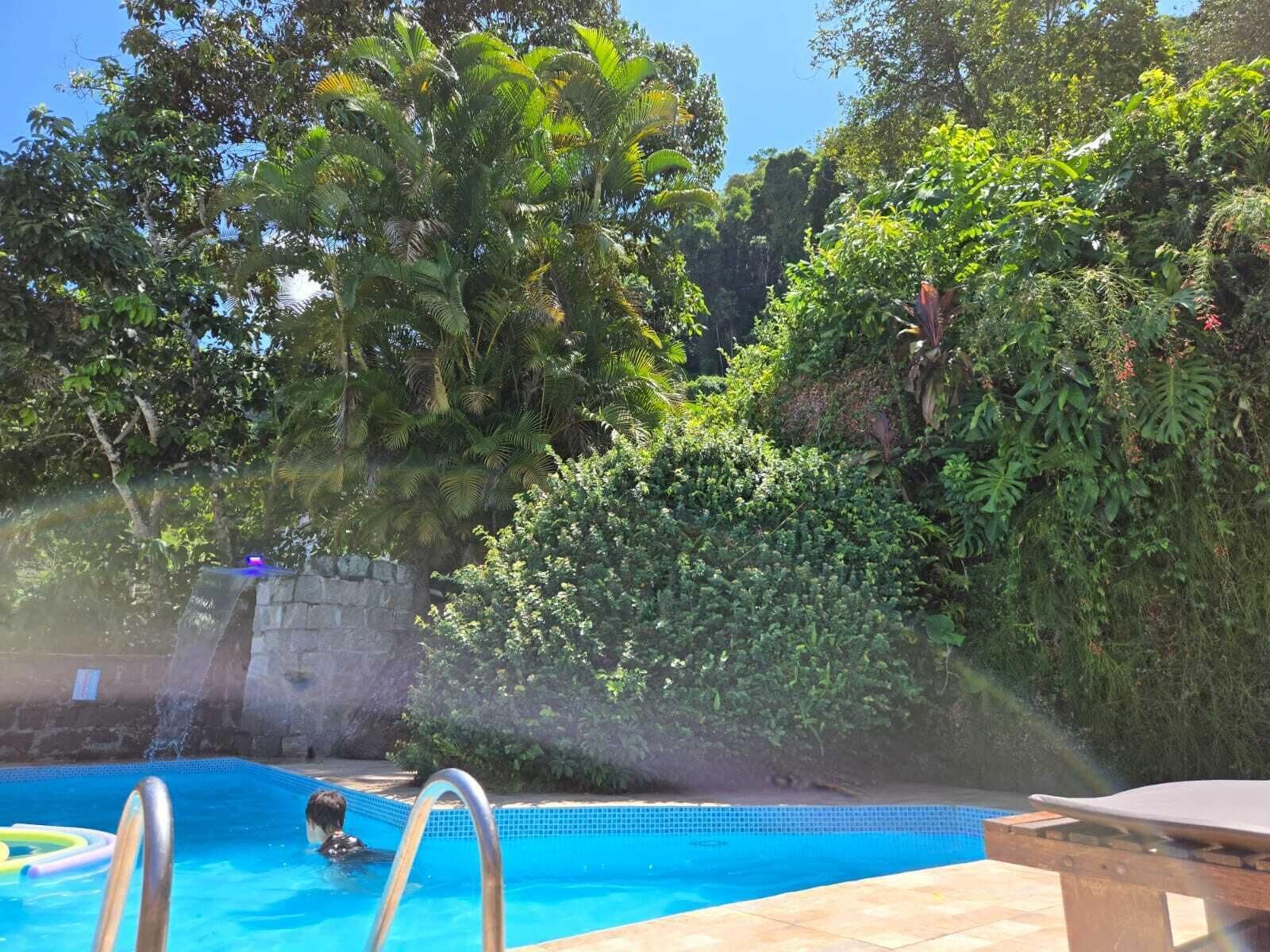A swimming pool surrounded by lush greenery and a stone wall.