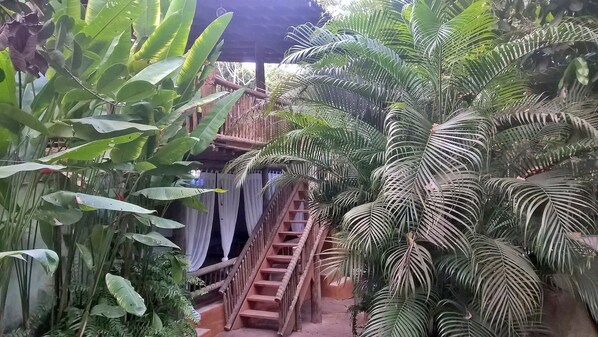 Vista da propriedade