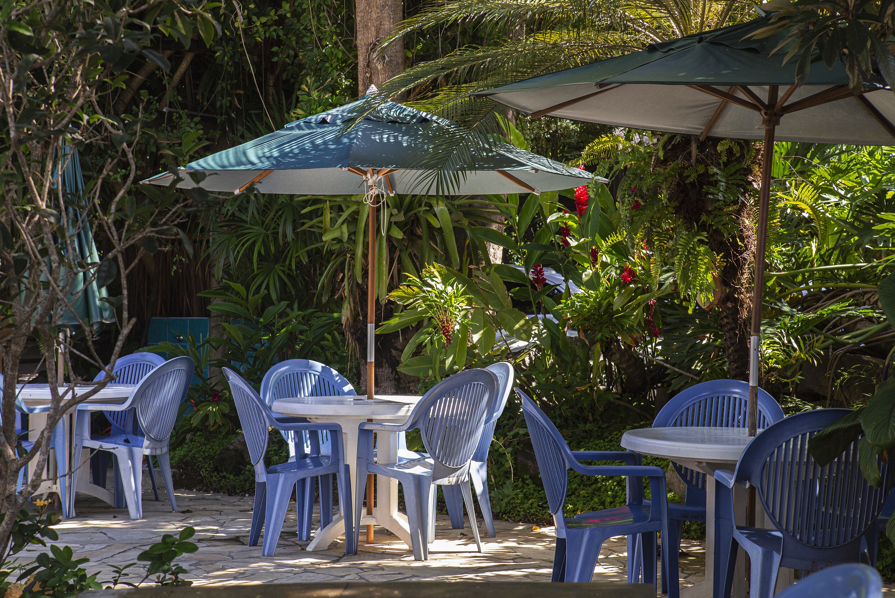 breakfast, lunch, dinner served; local cuisine