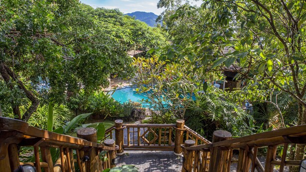 Una escalera de madera que lleva a una piscina rodeada de abundante vegetación y montañas al fondo.