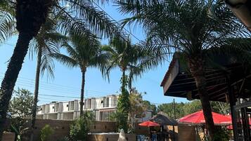 Zona de piscina con sillas de descanso, terraza de baldosas de piedra, palmeras y un edificio al fondo.