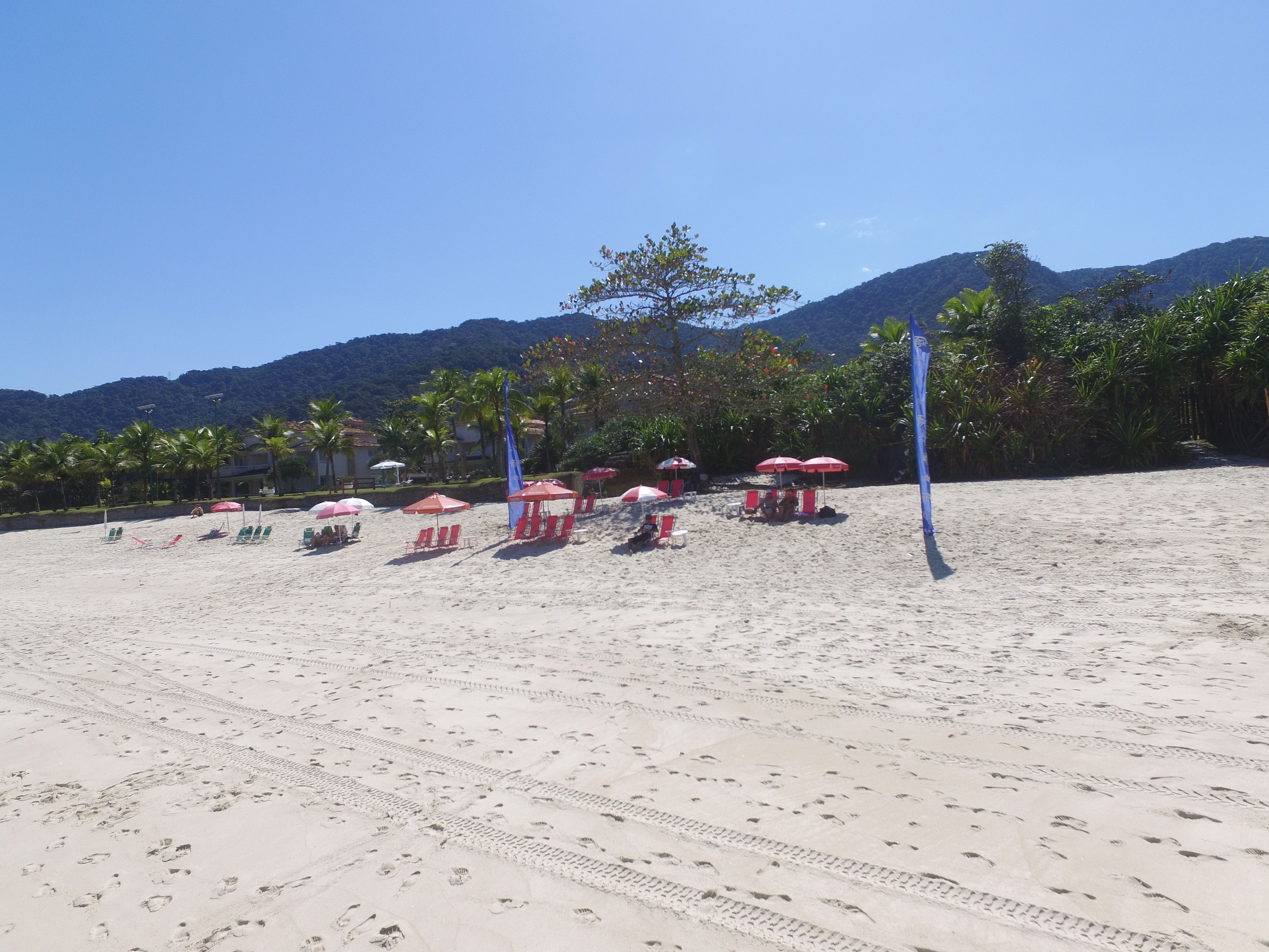 Una playa con hileras de tumbonas y sombrillas, palmeras y montañas al fondo.