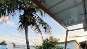 Un balcón con sillones de mimbre, una palmera y vistas de edificios al fondo.