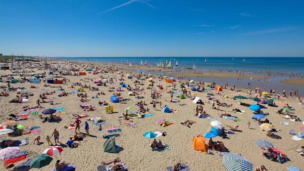 Une plage bondée, avec de nombreux parasols, où les gens profitent du beau temps.