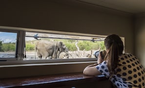 Game viewing