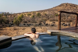 Deluxe Suite | Pool | Outdoor pool, pool umbrellas, sun loungers