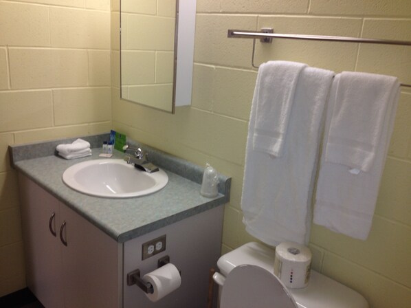 A bathroom with a sink, mirror, towel rack, toilet, and paper towel dispenser. - Residence & Conference Centre - Sudbury West (Sudbury)