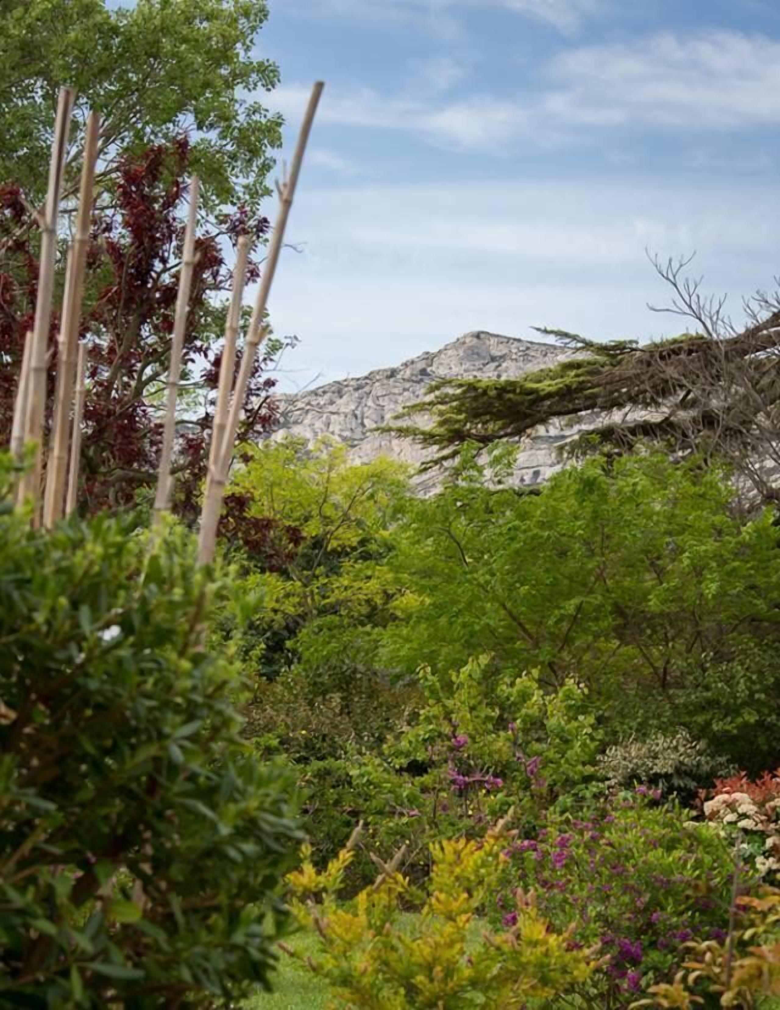 suite | view from room