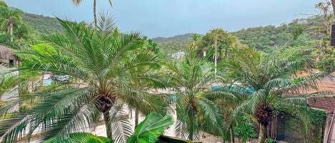 A lush garden with palm trees and a pool area.