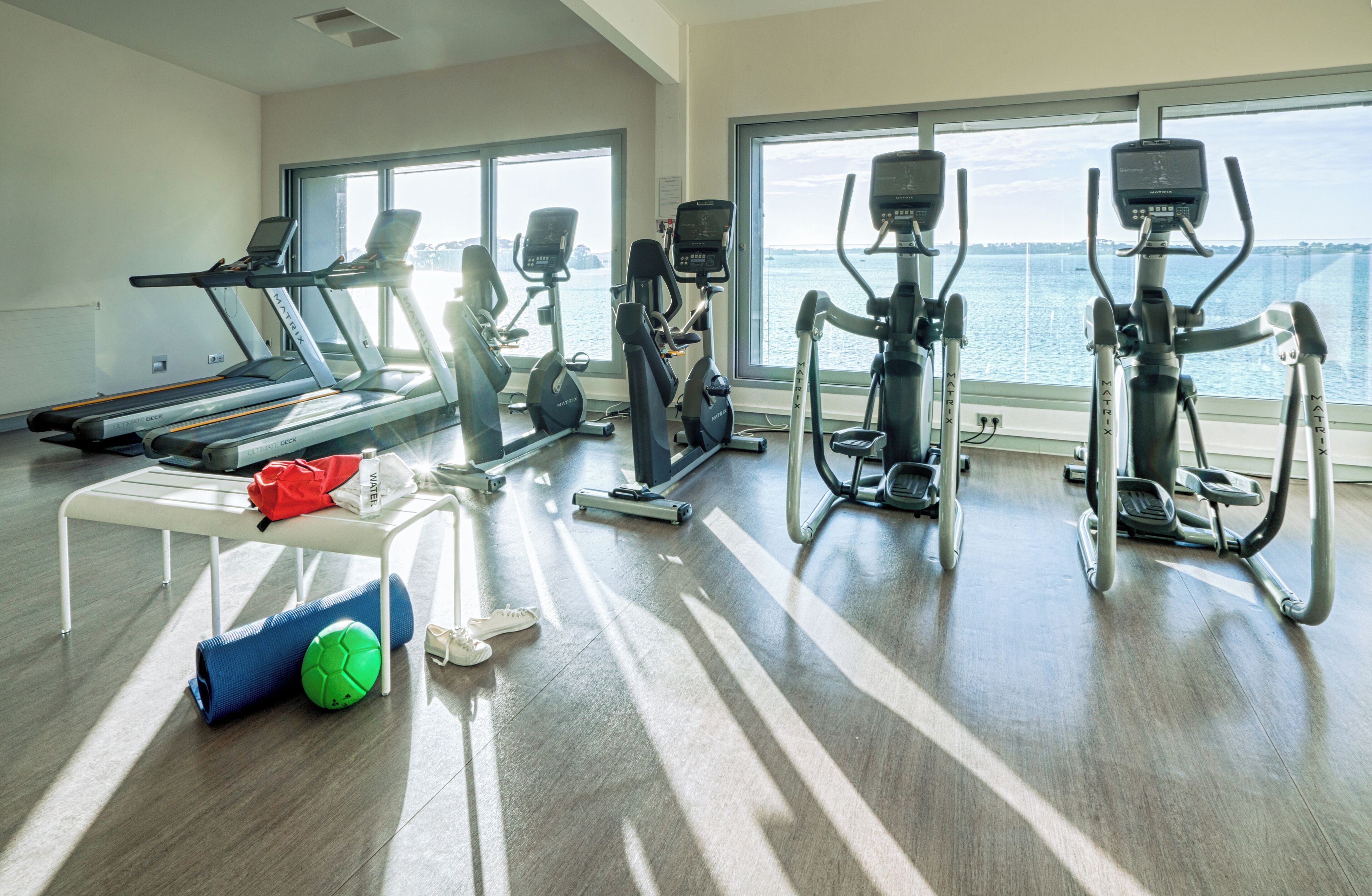 Un gimnasio con cintas de correr, elípticas y pelotas de ejercicio, con amplias ventanas que dan a una masa de agua.