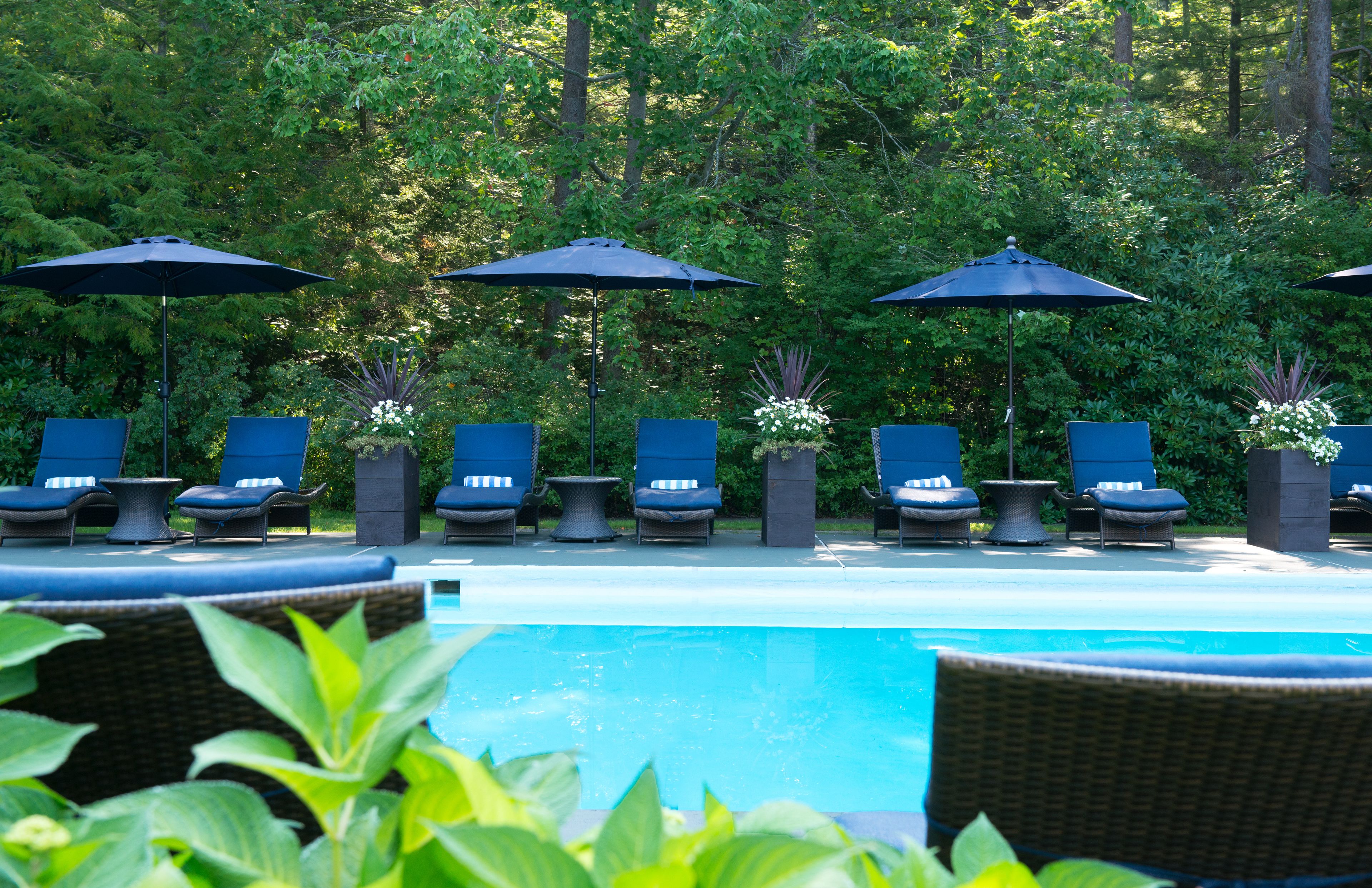 Alberca al aire libre por temporada y sombrillas en la alberca 