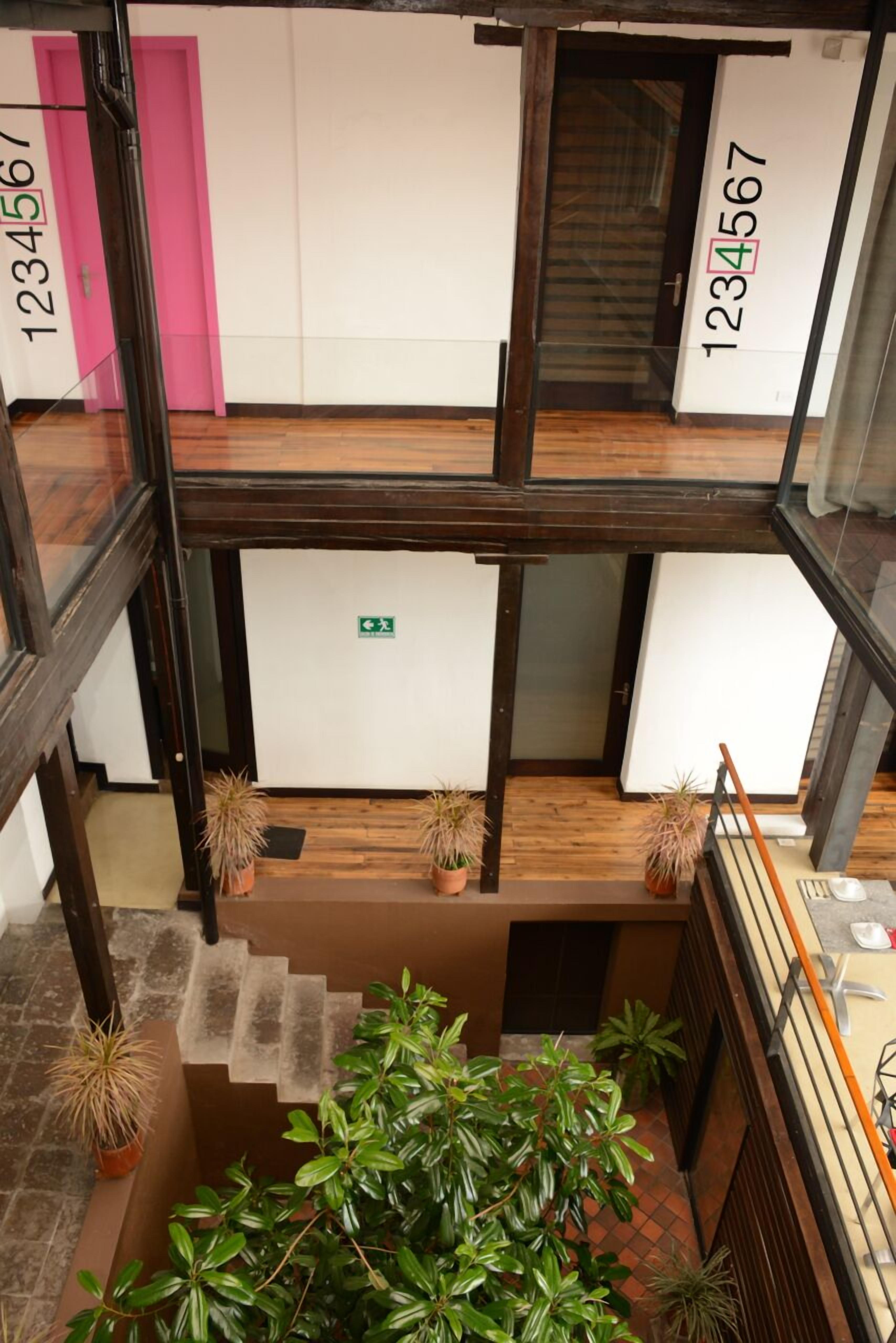 Ein mehrgeschossiges Interieur mit Holzböden, Blumentöpfen und einer Treppe.