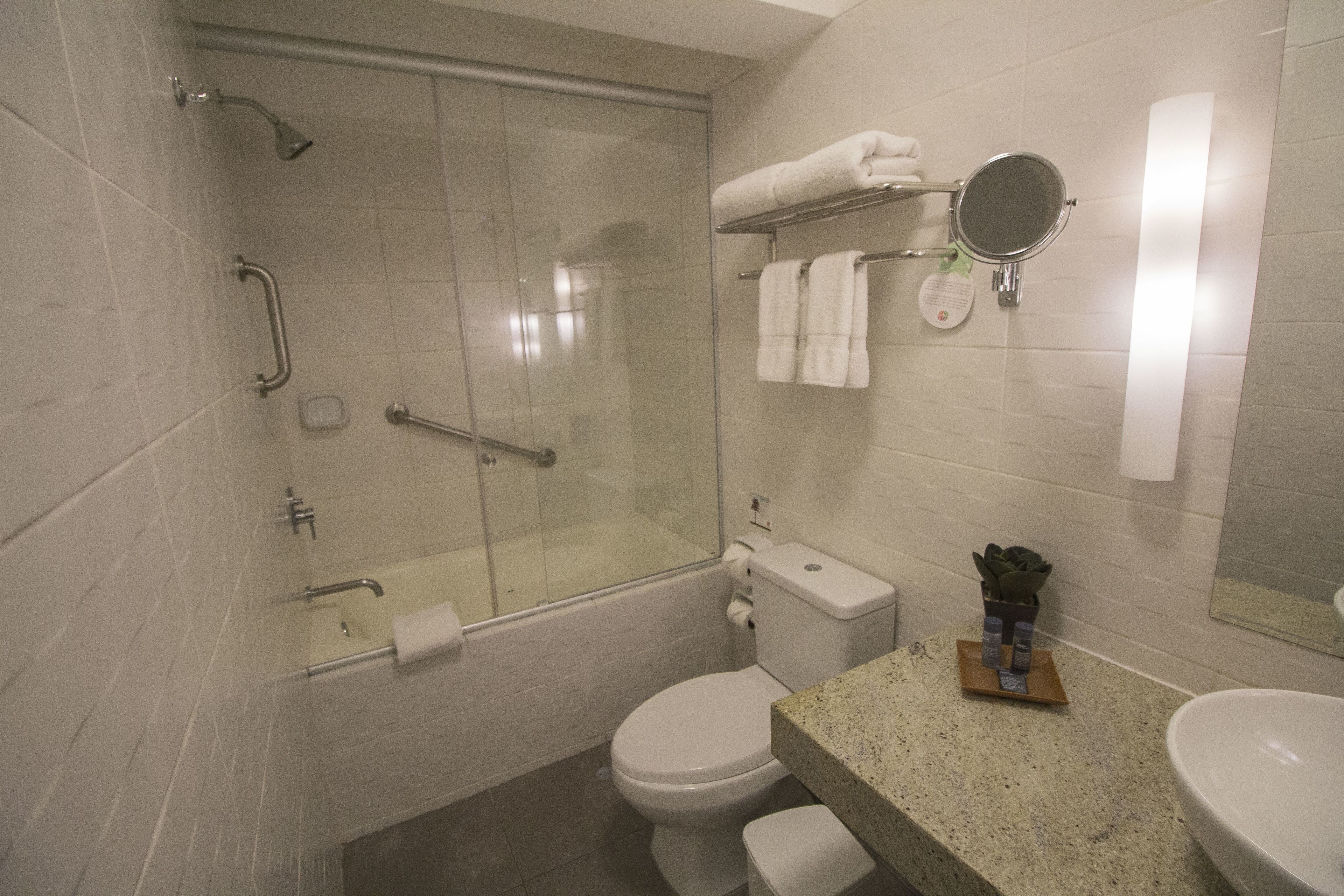 A modern bathroom with a glass-enclosed shower, a toilet, a sink, and a mirror.