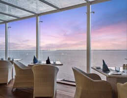 International cuisine