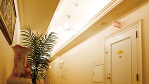 A hallway with a door marked 209, a vase with flowers, and a potted plant. - Hotel Olive Sakai (Sakai)