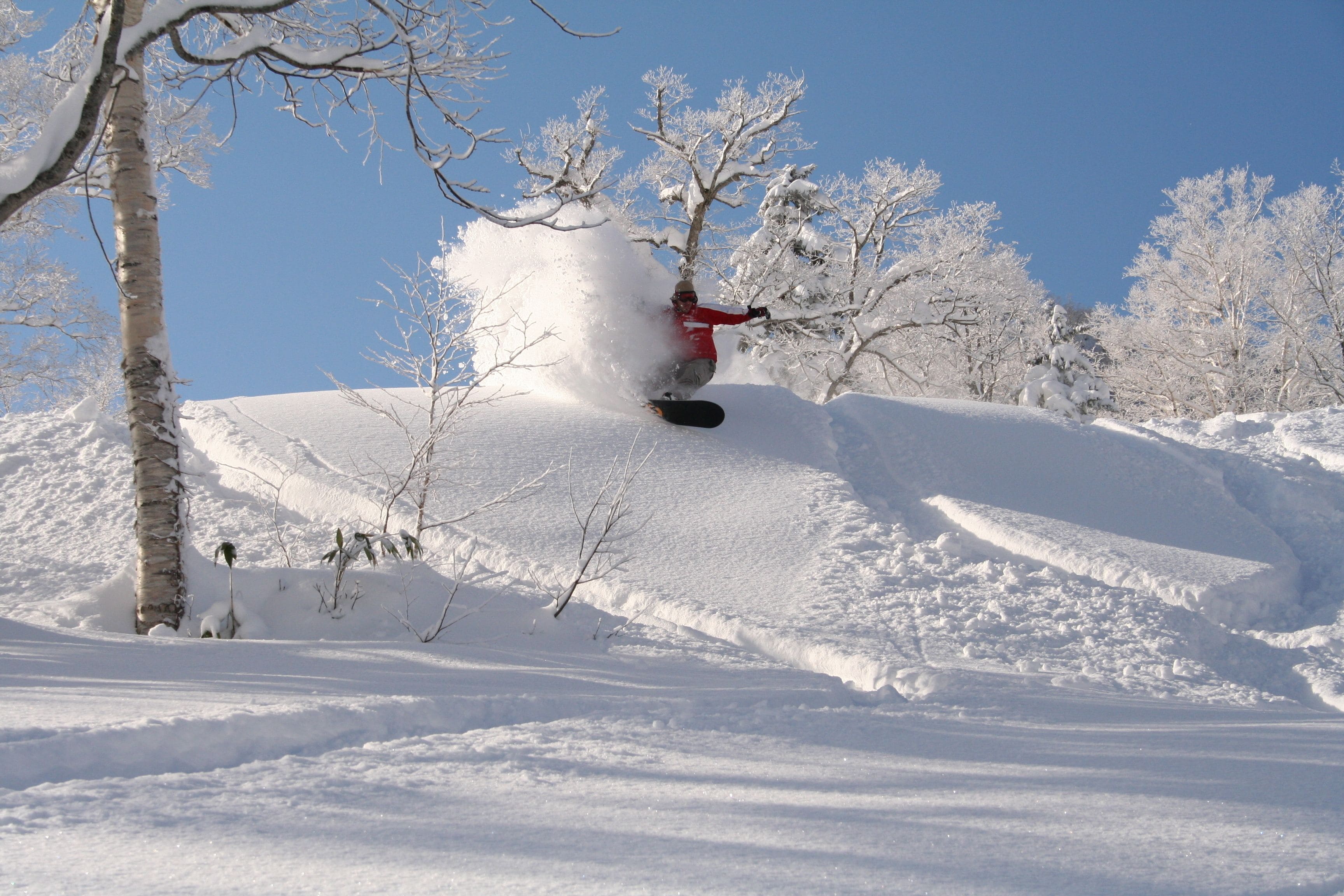 Un snowboarder con chaqueta roja realizando un salto en una pendiente nevada, con árboles desnudos y un cielo azul despejado.