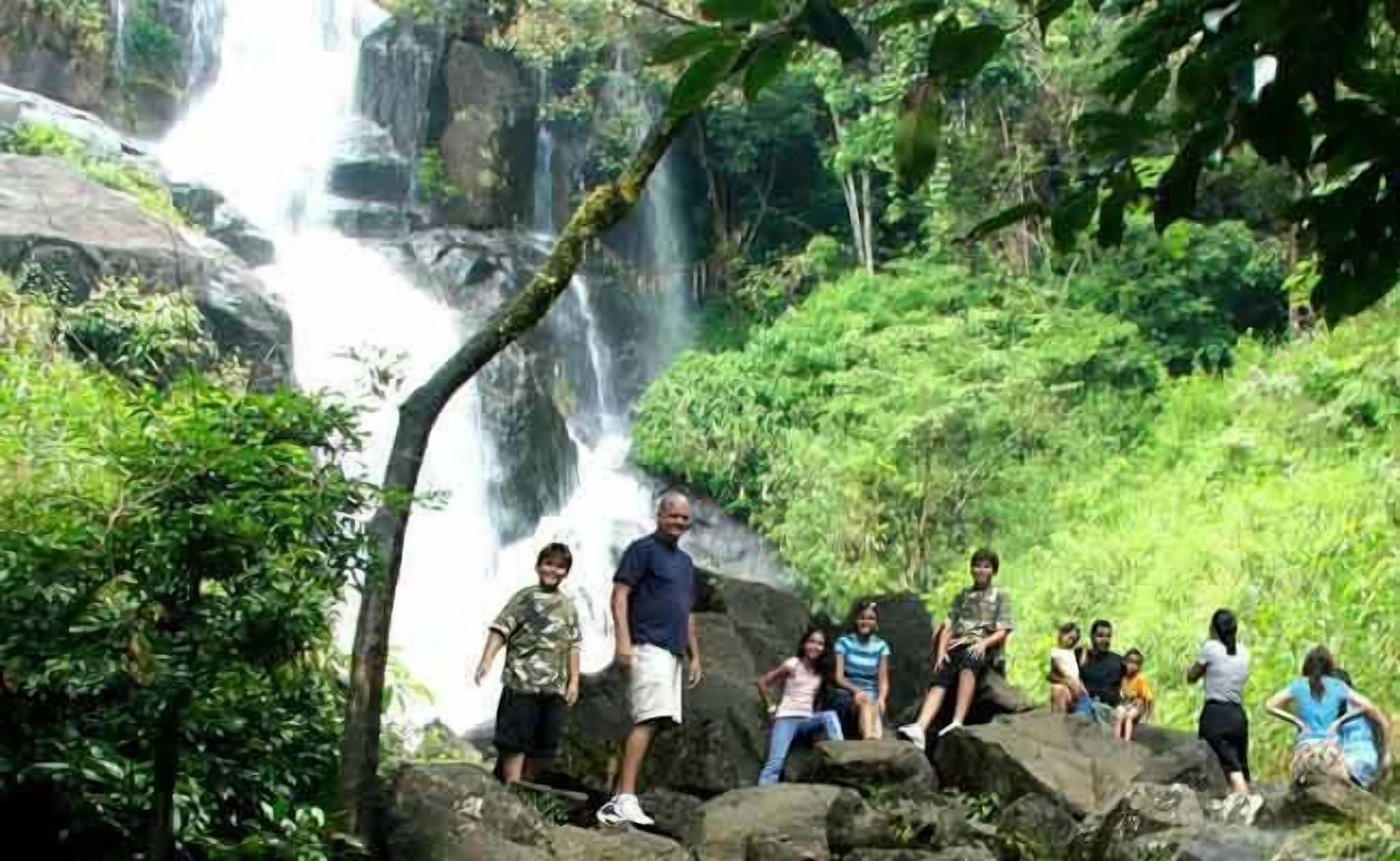 A group of people standing on rocks overlooking a waterfall in a lush, green forest.