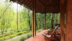 Un espacio al aire libre cubierto con un banco de madera y una mesa, rodeado de bambú y vegetación.