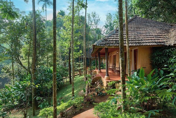 Exterior - Banasura Hill Resort (Mananthavady)