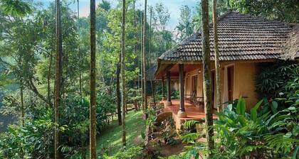 Banasura Hill Resort