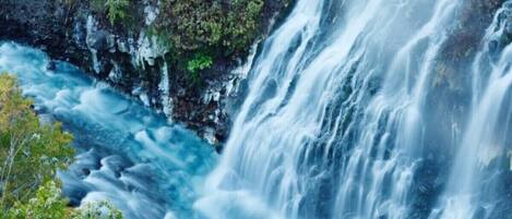 A waterfall cascading down a rocky cliff surrounded by greenery.