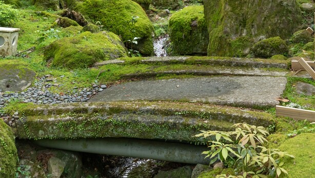 庭園