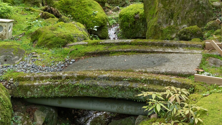 Nara Kasugaokuyama Tsukihitei