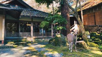 A traditional Japanese building with a tiled roof, surrounded by a garden with rocks, moss-covered trees, and a deer.