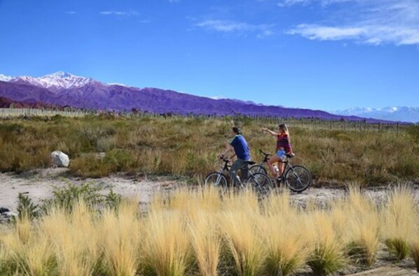 Ciclismo