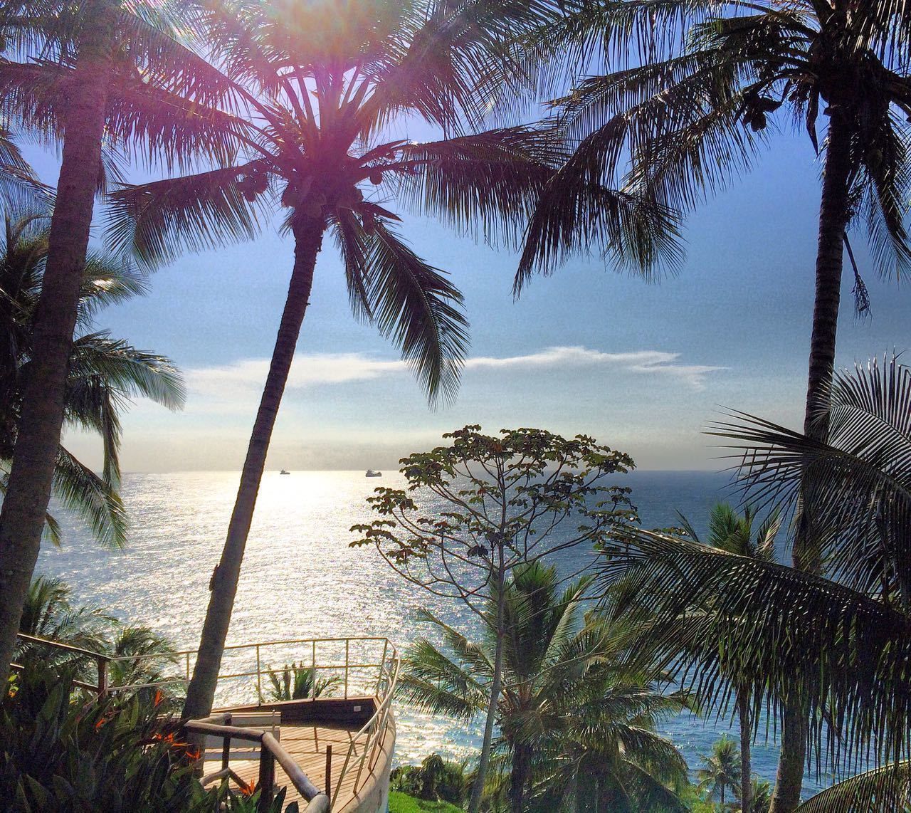 A coastal view with palm trees and a wooden deck overlooking the sea.